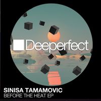 Sinisa Tamamovic - Before the Heat