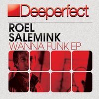 Roel Salemink - Wanna Funk