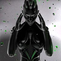 Dominus - Terminal