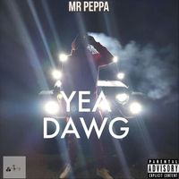 Mr Peppa - Yea Dwg (Explicit)