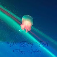 Ziggy Sullivin - The Big Reset