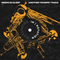 Needs No Sleep - Another Trumpet Track
