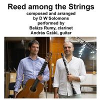 Balázs Rumy & András Czáki - Reed Among the Strings