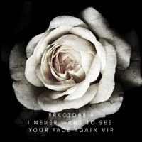 Fracture 4 - I Never Want to See Your Face Again VIP