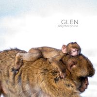 Glen - Polymorphine