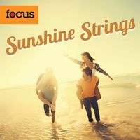 Andy Hopkins - Sunshine Strings
