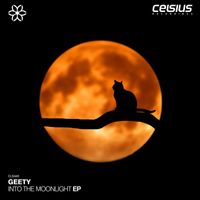 Geety - Into The Moonlight EP