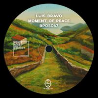 Luis Bravo - Moment of Peace