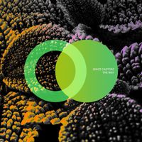 Space Castorz - The Way