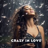 Souladelix - Crazy in Love
