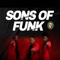 Sons Of Funk - Fix It