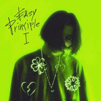 ALIDE - EASY PRINCIPLE I (Explicit)