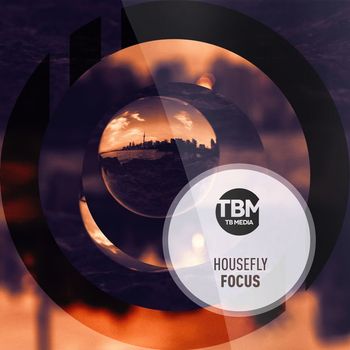 Housefly - Focus