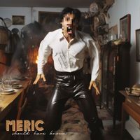 Meric - Should Have Known