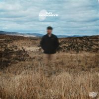 sadHAPPY - Say Goodbye