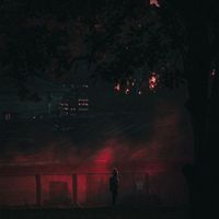 AIWI - Don't Cross