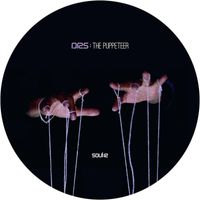 DRS - DRS: The Puppeteer