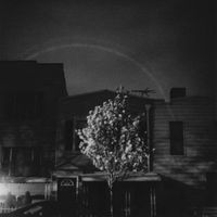 Open City - Blitz Kids Stay Sick (Explicit)