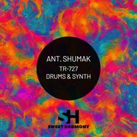 Ant. Shumak - TR-727 Drums & Synth
