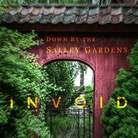 In Void - Down by the Salley Gardens