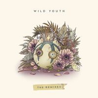 Dabin - Wild Youth (The Remixes)