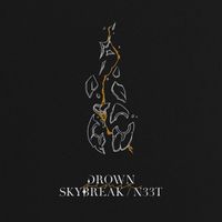 Dabin featuring Mokita - Drown (Skybreak, N33T Remix)