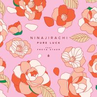Ninajirachi featuring Freya Staer - Pure Luck
