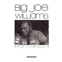 Big Joe Williams - Back to the Roots