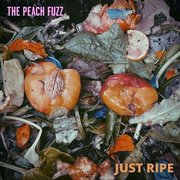The Peach Fuzz - Just Ripe