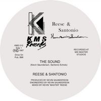 Reese & Santonio - The Sound / How To Play Our Music