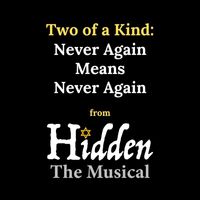 Two of a Kind - Never Again Means Never Again (From "Hidden: The Musical")
