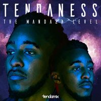 Tendaness - The Mandaza Level
