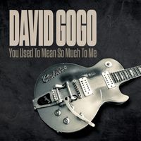 David Gogo - You Used To Mean So Much To Me
