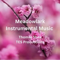 Thomas Shea - Meadowlark Instrumental Music