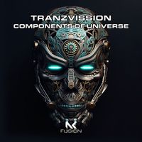 Tranzvission - Components of Universe