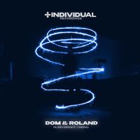 Dom & Roland - Burn Bright / Being
