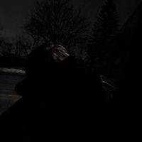 sky soul - until i'm 19 (Explicit)