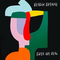 Bendik Brænne - Birds Are Real
