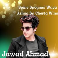 Jawad Ahmad - Spine Spogmai Waya Ashna Ba Cherta Wina