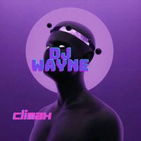 DJ Wayne - Climax