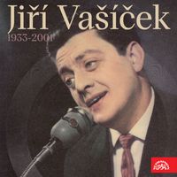 Jiří Vašíček - Jiří Vašíček (1933-2001)