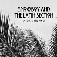 Snowboy And The Latin Section - Where's The One?