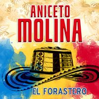 Aniceto Molina - El Forastero