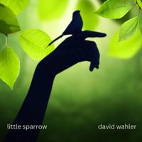 David Wahler - Little Sparrow