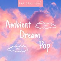Plan 8 - Ambient Dream Pop: Thoughtful, Contemporary Folk