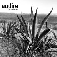 Audire - Stimulation