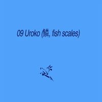 Sam Gendel - Uroko (鱗, fish scales)