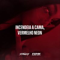 DJ Stanley and Funk SÉRIE GOLD - Incendeia a Cama, Vermelho Neon (Explicit)