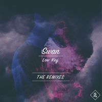 Swan - Low Key (The Remixes [Explicit])