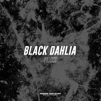 Black Dahlia - Flexx